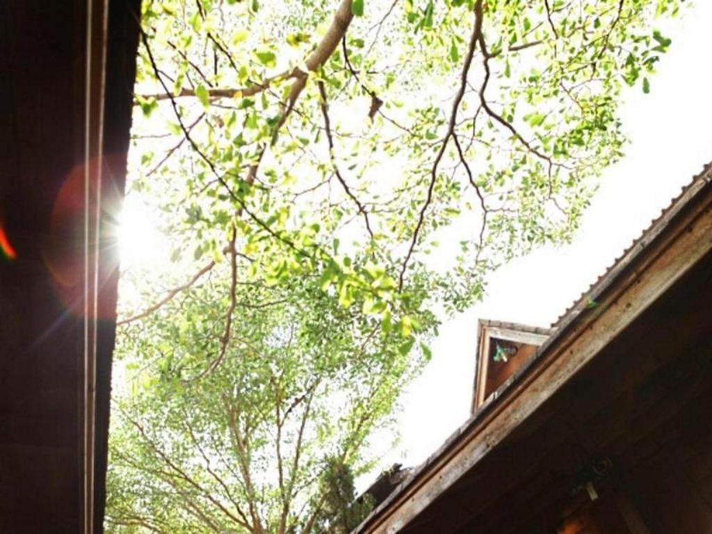 Loghome Boutique Chiang Mai Exterior foto